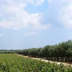 Domus Mea Salento ファームステイ