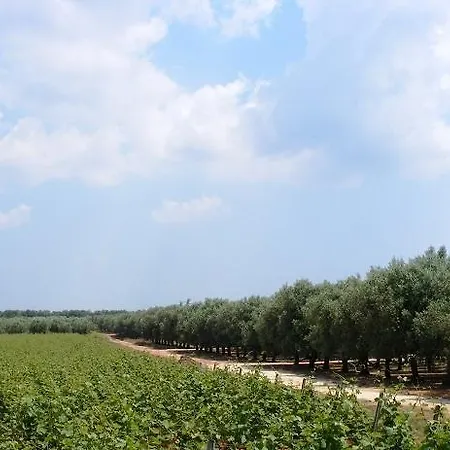 Domus Mea Salento مزرعة للإقامة